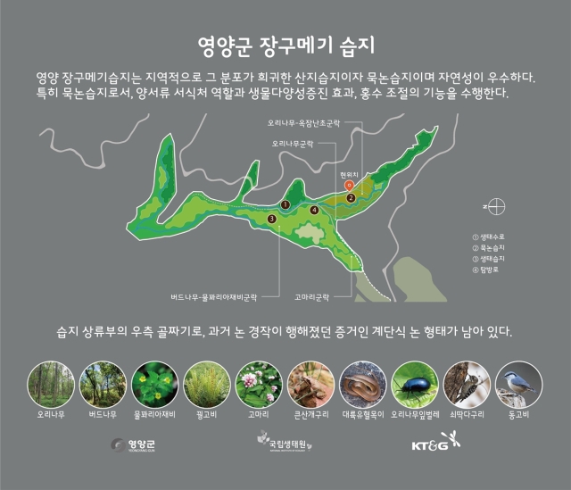영양군 석보면 포산리에 있는 장구메기습지  소개도. 영양군 제공