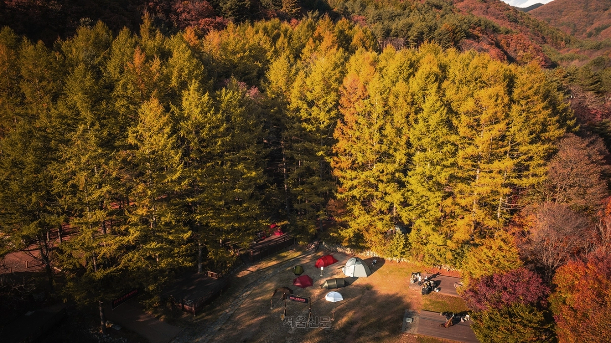 2026 힐레베르그 유저 캠프 ‘Hej, Hilleberg! 2026’. 파커스인터내셔널 제공
