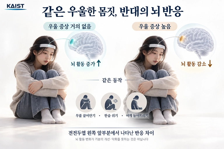 카이스트 제공