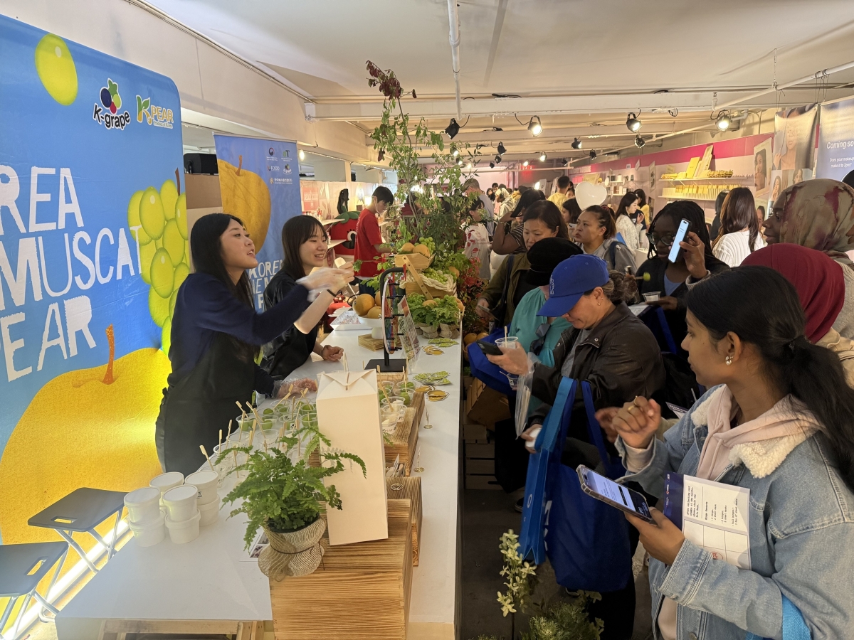 지난 15~18일 미국 뉴욕 맨해튼에 마련된 팝업스토어에서 한국산 샤인머스캣과 배를 맛보는 시식행사가 열리고 있다. 한국농수산식품유통공사 제공