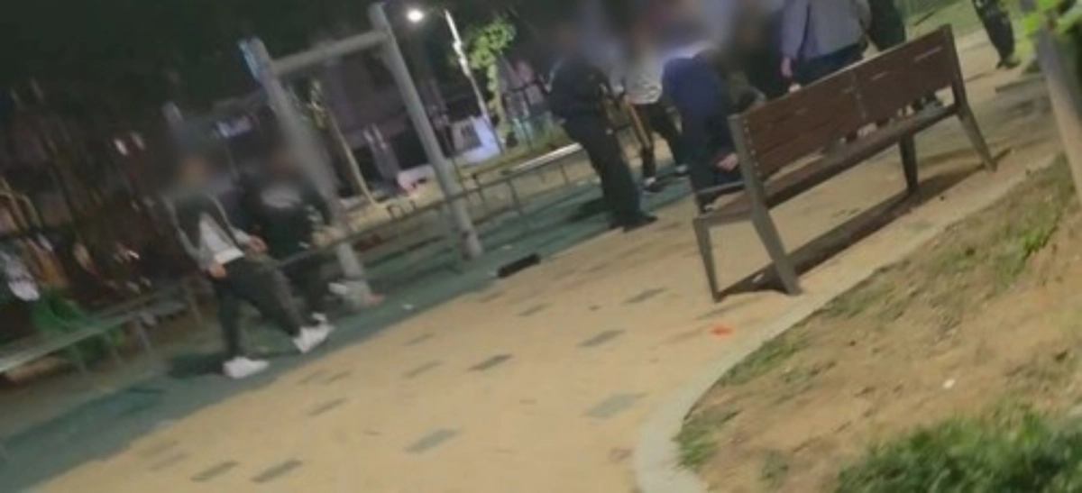 3일 오후 11시 40분쯤 카자흐스탄과 키르기스스탄 국적자 사이 집단 폭행 사건이 발생했다. 사건이 벌어진 곳은 평택시 포승읍 도곡리 어린이집과 초등학교가 인접한 주거지 내 어린이공원으로 경찰은 출동 최고 단계인 ‘코드 제로’(Code 0)를 발령해 대응했다. (독자 제공) 2026.10.20. 연합뉴스