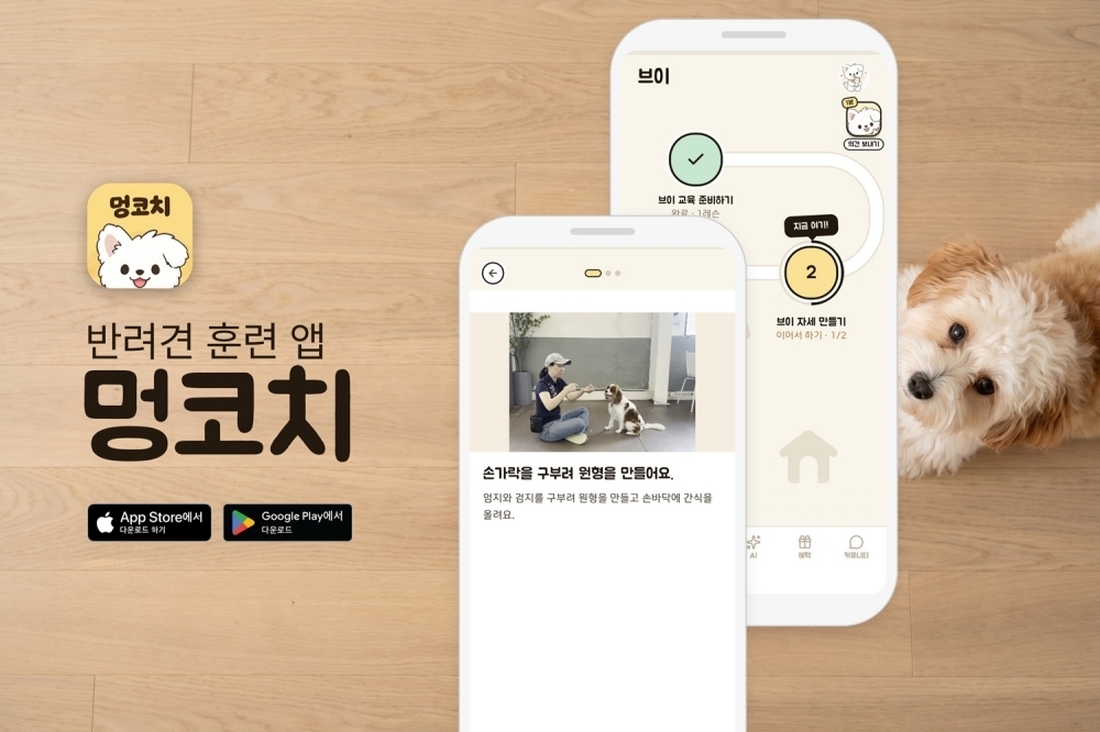 멍코치가 일상에서 반려동물을 효과적으로 교육할 수 있는 커리큘럼을 공개했다.(멍코치 제공)