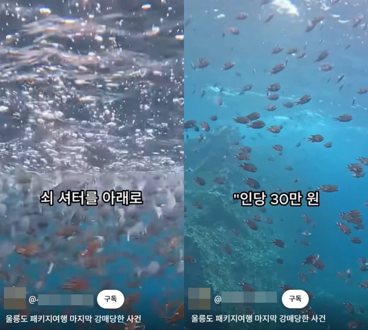 지난 23일 한 유튜브 채널에 “울릉도를 찾은 단체 관광객이 특산품 직판장에 감금당한 채 1인당 30만원어치씩 물품을 구매하라는 요구를 받았다”는 주장이 담긴 영상이 올라왔다. 자료 : 유튜브